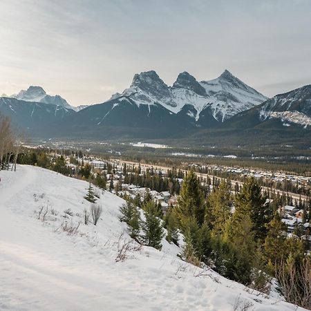 A Bear And Bison Country Inn Кенмор Екстер'єр фото