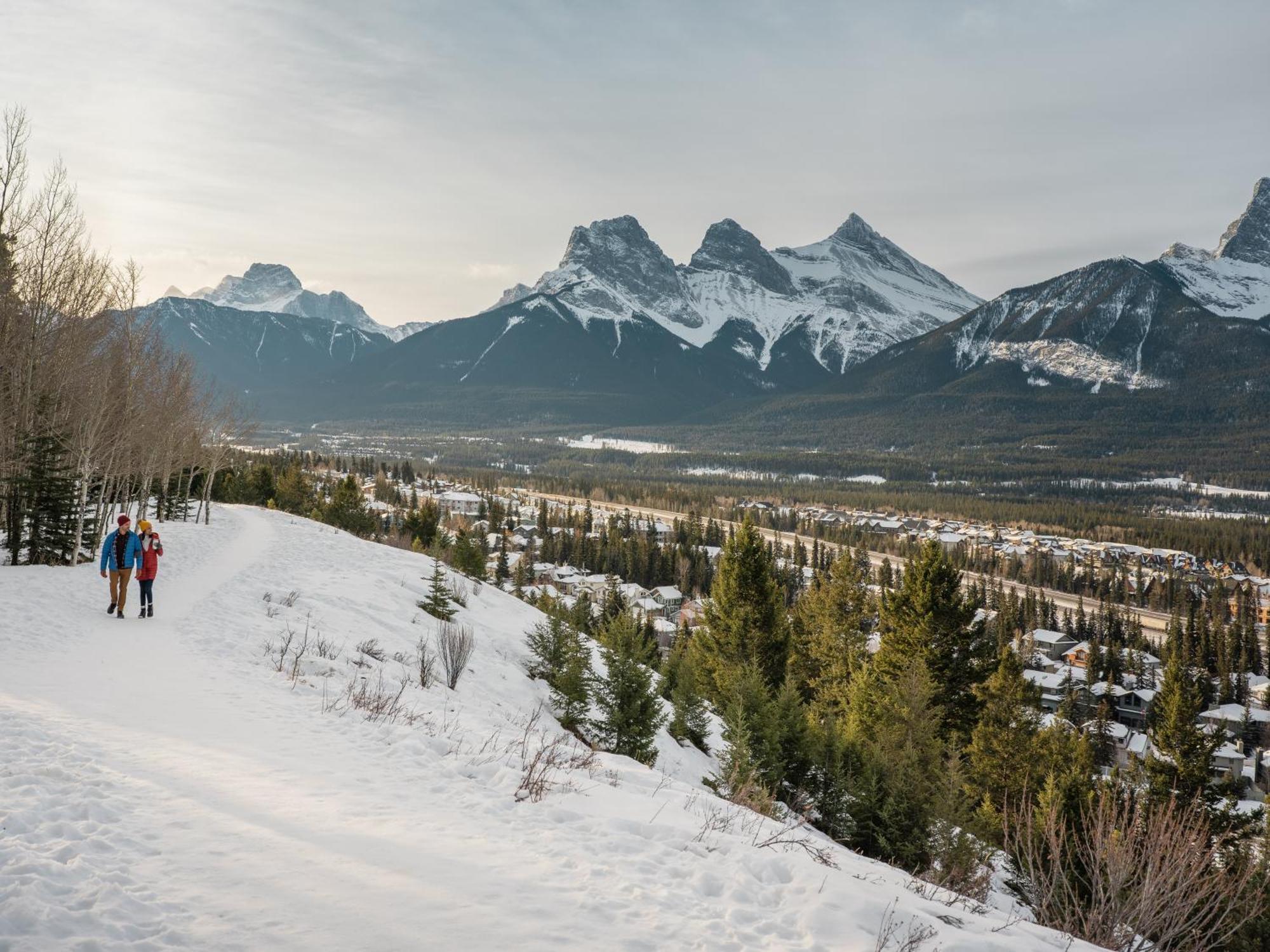 A Bear And Bison Country Inn Кенмор Екстер'єр фото